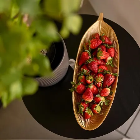 One Verdi Park Exclusive - Panoramic View & Private Parking * 布加勒斯特