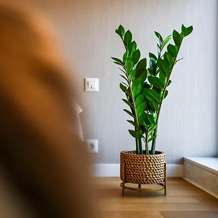 One Verdi Park Exclusive - Panoramic View & Private Parking *