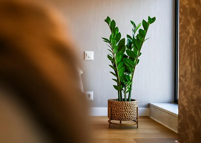 One Verdi Park Exclusive - Panoramic View & Private Parking *